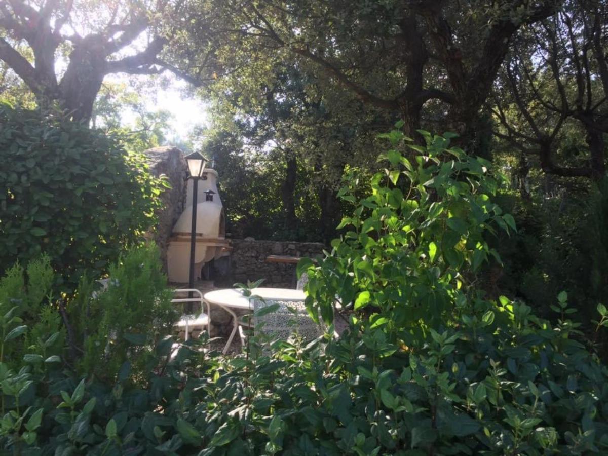 Fox-Amphoux Crazy Foxy Retreats B&B 외부 사진